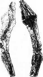 Загадки казацких характерников (ЛП) - i_075.jpg