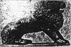 Загадки казацких характерников (ЛП) - i_384.jpg