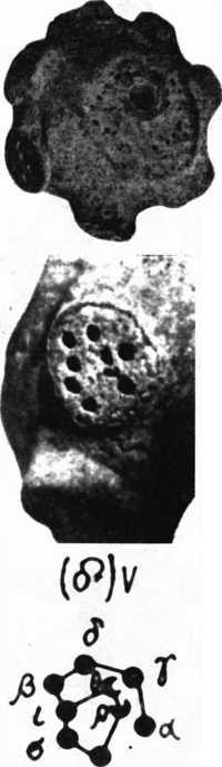 Загадки казацких характерников (ЛП) - i_400.jpg