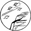 Соловьиное эхо (сборник) - _04.jpg