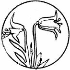 Соловьиное эхо (сборник) - _08.jpg