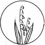 Соловьиное эхо (сборник) - _24.jpg