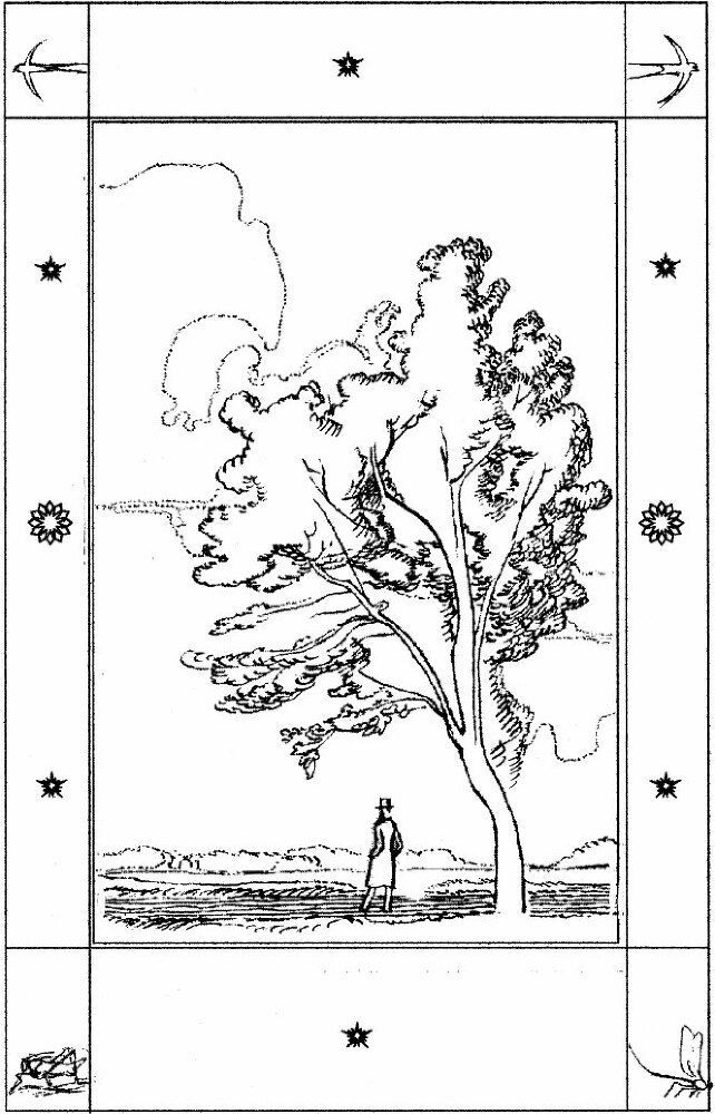 Соловьиное эхо (сборник) - _25.jpg