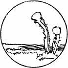 Соловьиное эхо (сборник) - _28.jpg