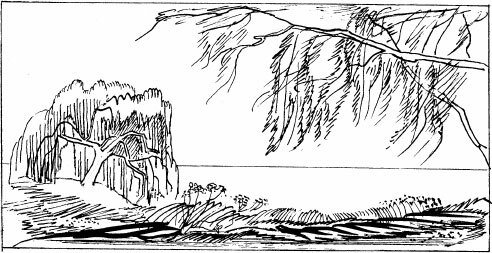 Соловьиное эхо (сборник) - _45.jpg