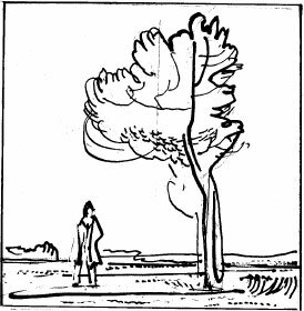 Соловьиное эхо (сборник) - _52.jpg