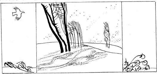 Соловьиное эхо (сборник) - _54.jpg