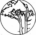 Соловьиное эхо (сборник) - _66.jpg