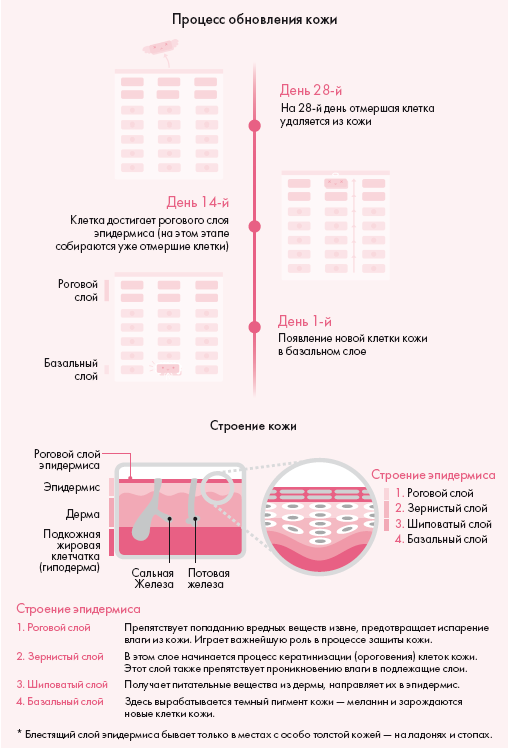 Корейская философия красоты. Smart-подход для идеальной кожи без дорогостоящих вложений - i_001.png