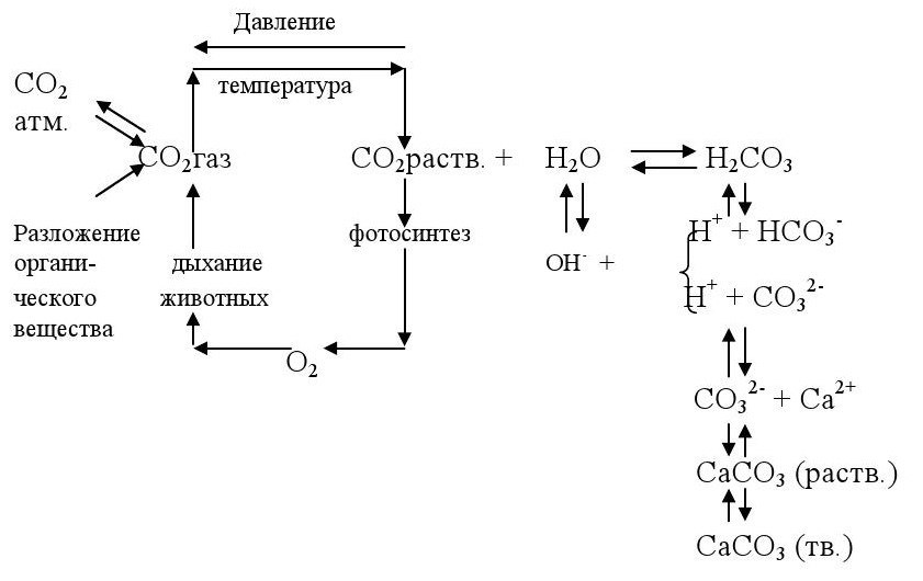 Карбонатно-кальциевое равновесие в природных водах - imgc2ead7208f2f46f6a8ca5ab14a3034e8.jpg