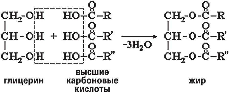 Мифы о нашем теле. Научный подход к примитивным вопросам - i_001.jpg