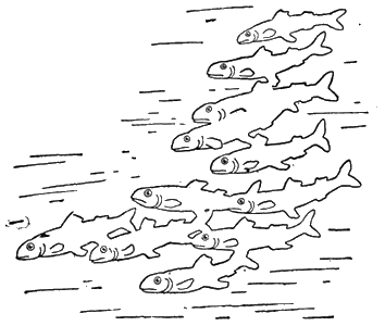 Всемирный следопыт, 1928 № 12 - i_026.png
