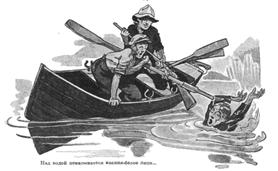 Всемирный следопыт, 1928 № 11 - i_049.png