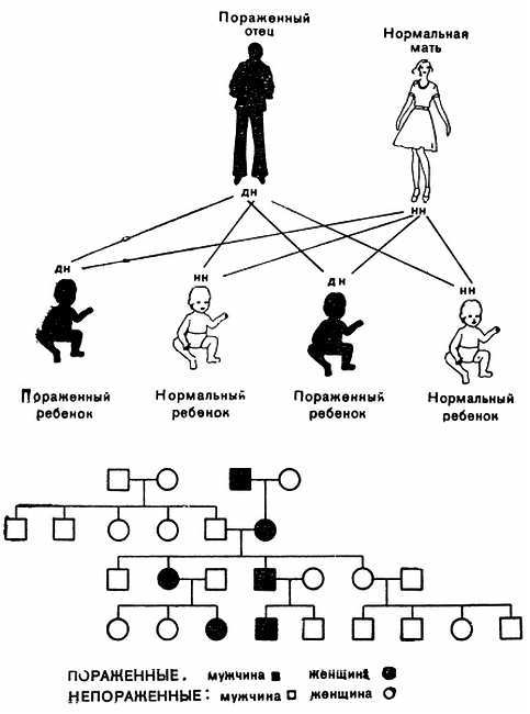 Знайте свои гены - _10.jpg