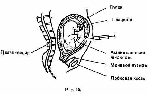 Знайте свои гены - _19.jpg
