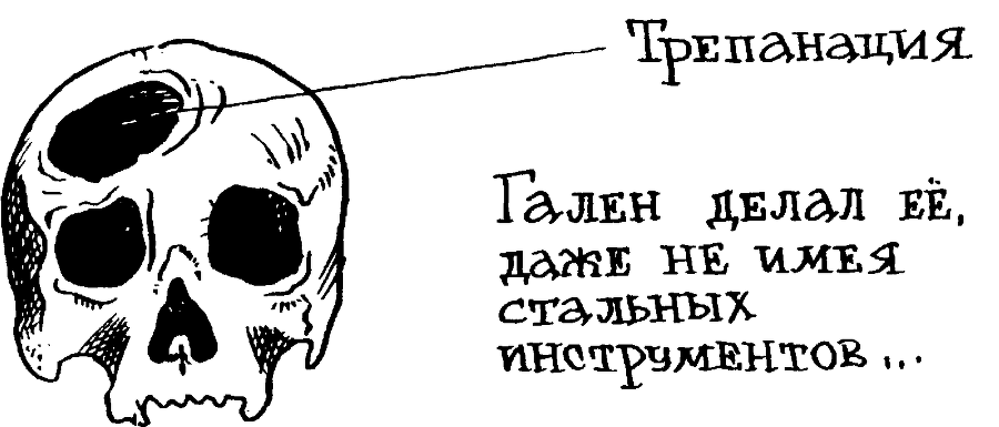 Я познаю мир. Тайны человека - image6.png