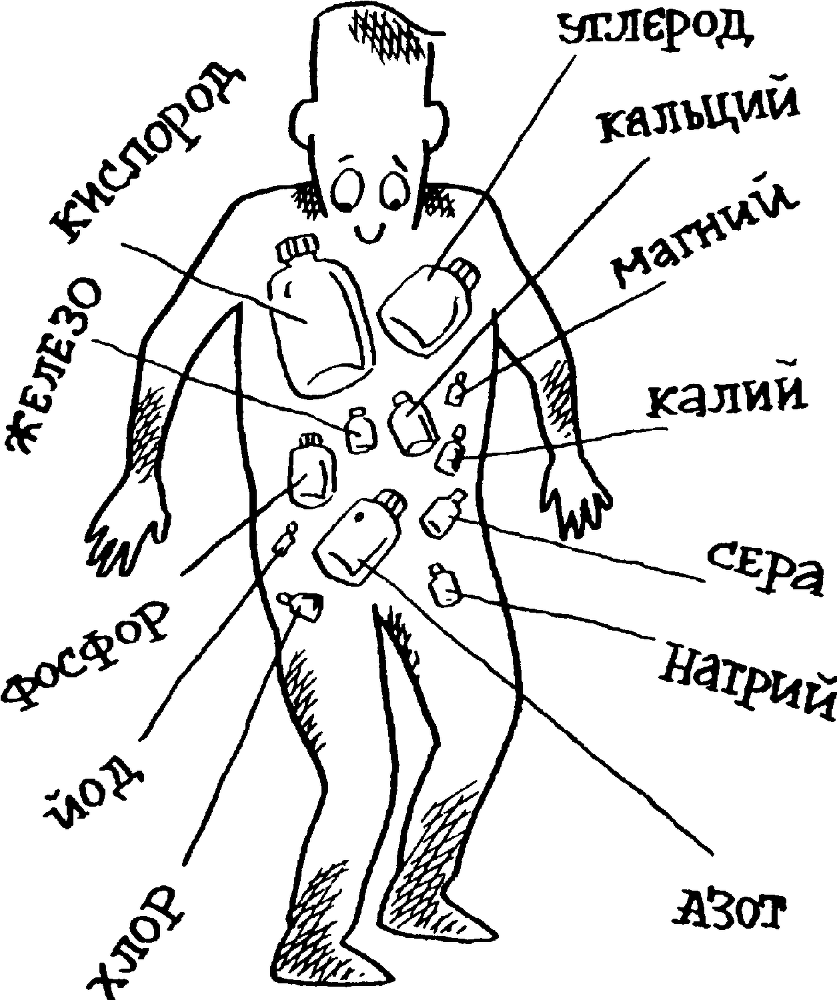 Я познаю мир. Тайны человека - image15.png