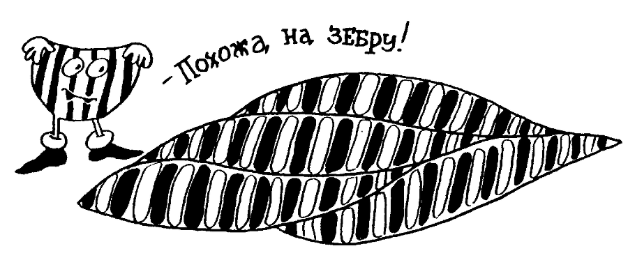 Я познаю мир. Тайны человека - image41.png