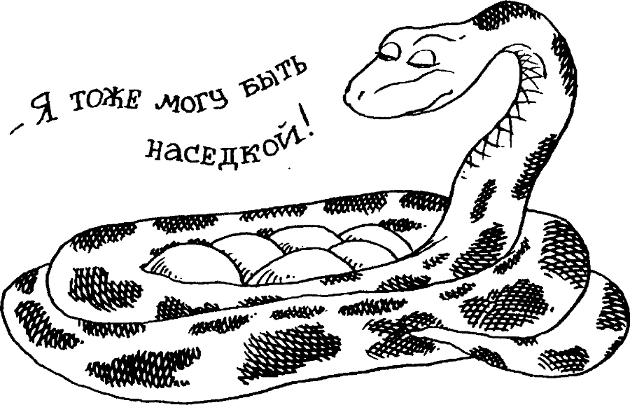 Я познаю мир. Тайны человека - image44.png