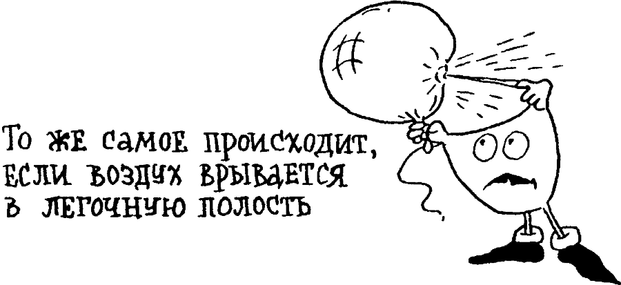 Я познаю мир. Тайны человека - image68.png