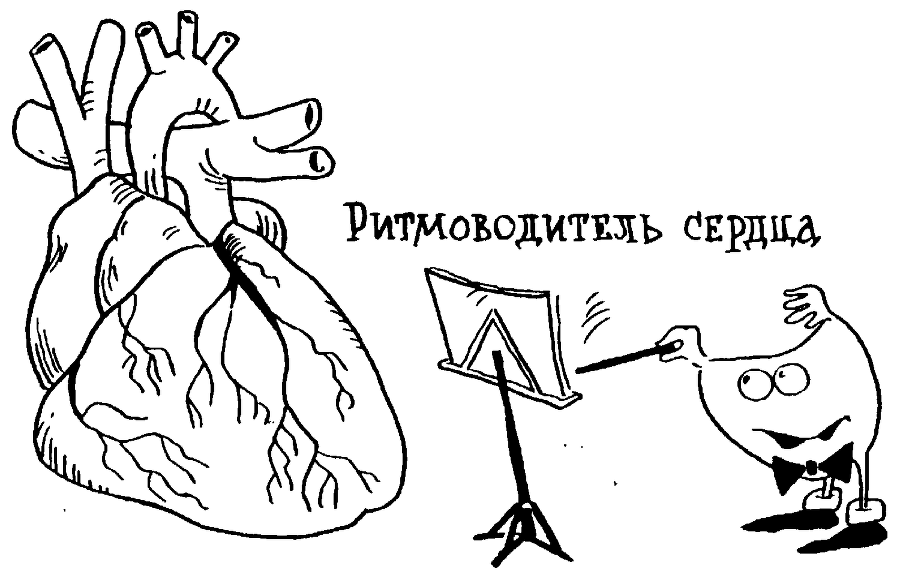 Я познаю мир. Тайны человека - image73.png