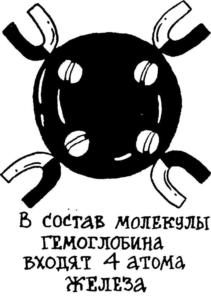 Я познаю мир. Тайны человека - image76.png