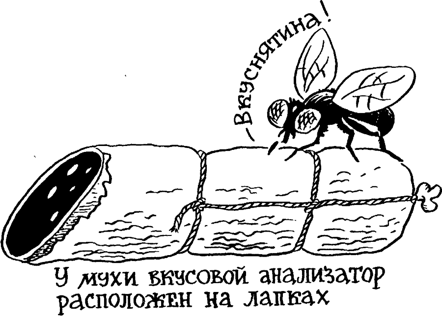 Я познаю мир. Тайны человека - image95.png