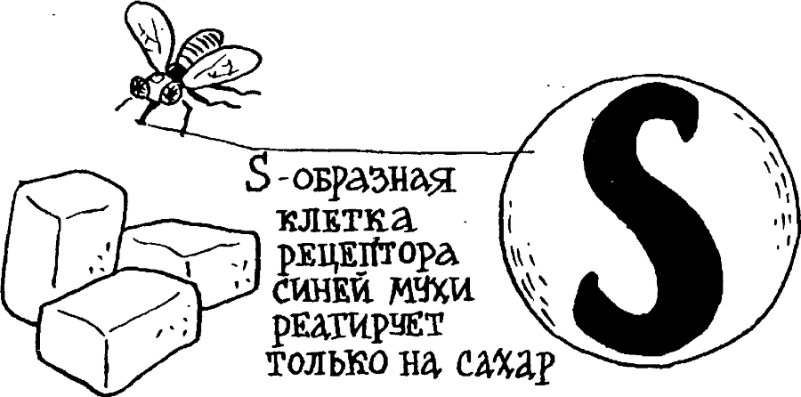 Я познаю мир. Тайны человека - image96.png