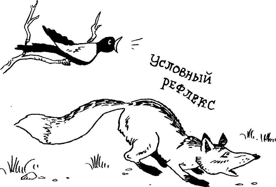 Я познаю мир. Тайны человека - image115.png