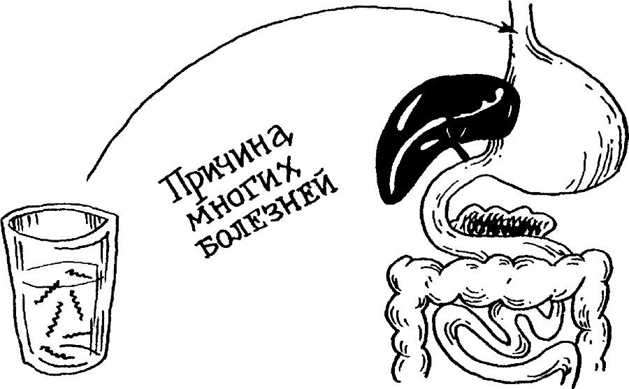 Я познаю мир. Тайны человека - image130.png