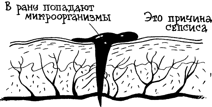 Я познаю мир. Тайны человека - image131.png