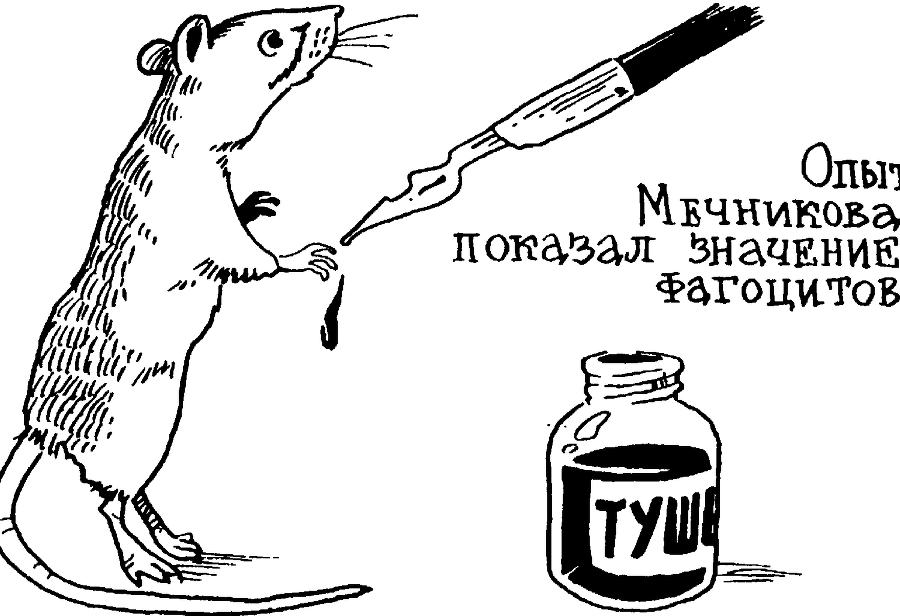 Я познаю мир. Тайны человека - image134.png