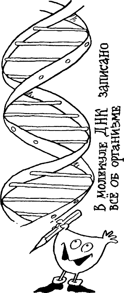 Я познаю мир. Тайны человека - image147.png