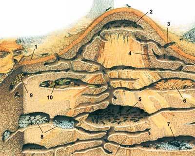 STRENUA INERTIA-3. В гармонии с собой! - _9.jpg