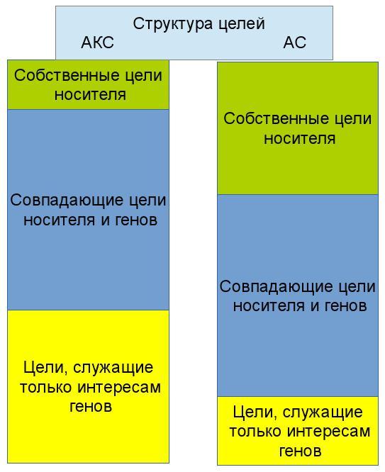 Миметика глупости - _9.jpg