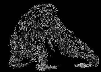 Всемирный следопыт, 1929 № 05 - _36.jpg