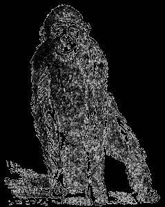 Всемирный следопыт, 1929 № 05 - _37.jpg