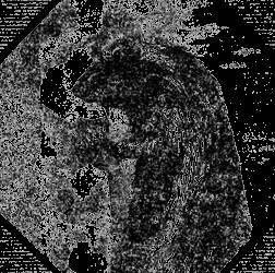 Всемирный следопыт, 1929 № 05 - _44.jpg