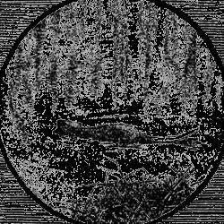 Всемирный следопыт, 1929 № 05 - _46.jpg