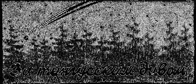 Всемирный следопыт, 1929 № 03 - _40.jpg