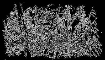 Всемирный следопыт, 1929 № 03 - _43.jpg