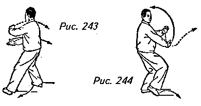 Тайцзицюань. Руководство к упражнениям - img_264.png