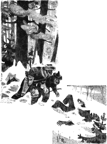 Всемирный следопыт, 1930 № 10-11 - i_013.png