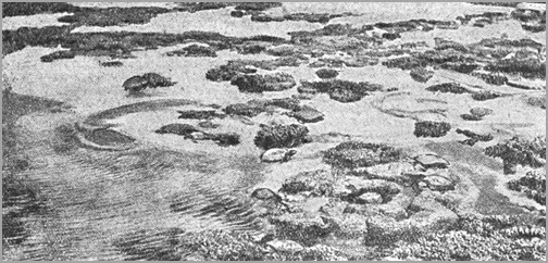 Всемирный следопыт, 1930 № 10-11 - i_081.jpg