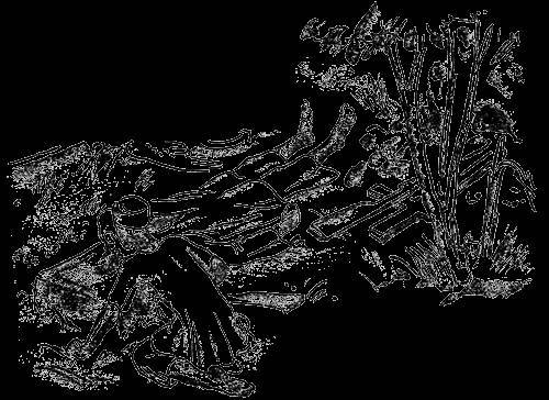 Всемирный следопыт, 1930 № 09 - _34.jpg
