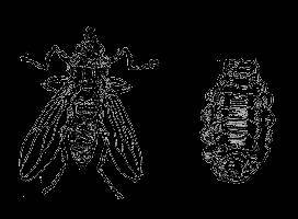 Всемирный следопыт, 1930 № 07 - _30.jpg
