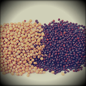 Магия вкуса пряных комбинаций: смеси специй, пасты, соусы. Часть 1 - _28.jpg