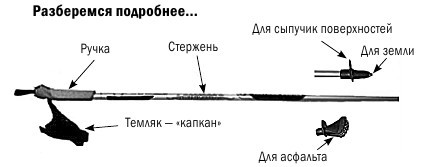 Скандинавская ходьба. Привычка здоровой жизни - i_002.jpg