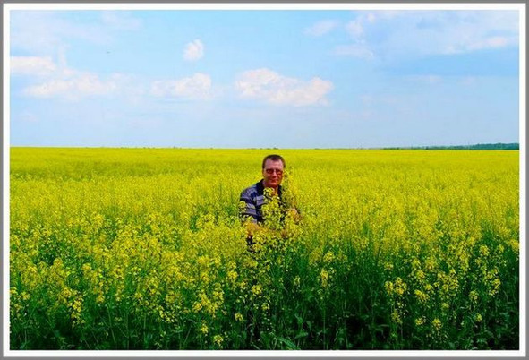 Сине-жёлтое настроение. Украинский флаг на картинах великих художников (СИ) - _1.jpg