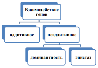 Психогенетика и психофизиология развития дошкольника - i_001.png